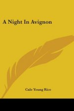 A NIGHT IN AVIGNON