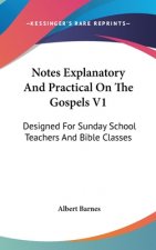 Notes Explanatory And Practical On The Gospels V1: Designed For Sunday School Teachers And Bible Classes