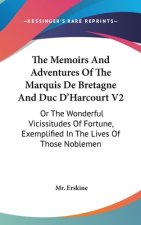 The Memoirs And Adventures Of The Marquis De Bretagne And Duc D'Harcourt V2: Or The Wonderful Vicissitudes Of Fortune, Exemplified In The Lives Of Tho