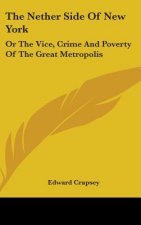 The Nether Side Of New York: Or The Vice, Crime And Poverty Of The Great Metropolis