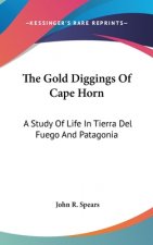 THE GOLD DIGGINGS OF CAPE HORN: A STUDY