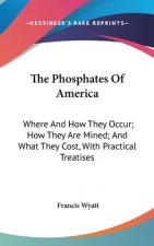 THE PHOSPHATES OF AMERICA: WHERE AND HOW