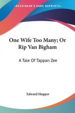 One Wife Too Many; Or Rip Van Bigham: A Tale Of Tappan Zee
