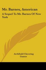 MR. BARNES, AMERICAN: A SEQUEL TO MR. BA
