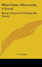 What Came Afterwards, A Novel: Being A Sequel To Nothing But Money