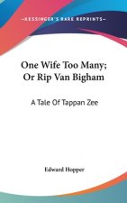 One Wife Too Many; Or Rip Van Bigham: A Tale Of Tappan Zee