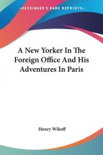 A New Yorker In The Foreign Office And His Adventures In Paris