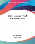 NOTES ON AGAVE AND FURCRAEA IN INDIA