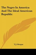 THE NEGRO IN AMERICA AND THE IDEAL AMERI