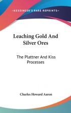 LEACHING GOLD AND SILVER ORES: THE PLATT