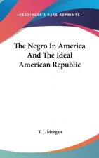 THE NEGRO IN AMERICA AND THE IDEAL AMERI