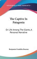 The Captive In Patagonia: Or Life Among The Giants, A Personal Narrative