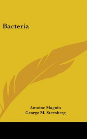 BACTERIA