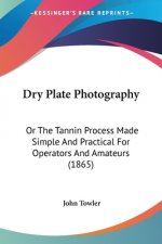 Dry Plate Photography: Or The Tannin Process Made Simple And Practical For Operators And Amateurs (1865)
