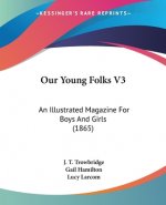 Our Young Folks V3: An Illustrated Magazine For Boys And Girls (1865)