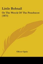 LITTLE BOBTAIL: OR THE WRECK OF THE PENO
