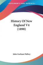 HISTORY OF NEW ENGLAND V4  1890