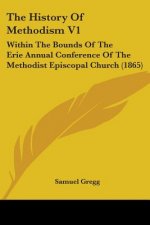 The History Of Methodism V1: Within The Bounds Of The Erie Annual Conference Of The Methodist Episcopal Church (1865)