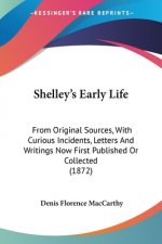 Shelley's Early Life: From Original Sources, With Curious Incidents, Letters And Writings Now First Published Or Collected (1872)