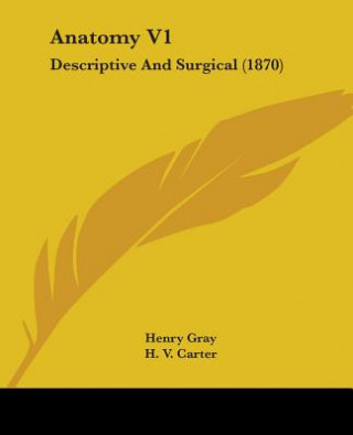 Anatomy V1: Descriptive And Surgical (1870)