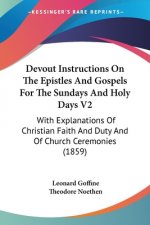 Devout Instructions On The Epistles And Gospels For The Sundays And Holy Days V2: With Explanations Of Christian Faith And Duty And Of Church Ceremoni