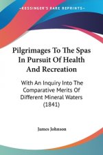 Pilgrimages To The Spas In Pursuit Of Health And Recreation: With An Inquiry Into The Comparative Merits Of Different Mineral Waters (1841)