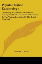 Popular British Entomology: Containing A Familiar And Technical Description Of The Insects Most Common To The Various Localities Of The British Isles