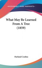 What May Be Learned From A Tree (1859)