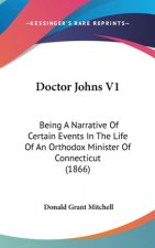 Doctor Johns V1: Being A Narrative Of Certain Events In The Life Of An Orthodox Minister Of Connecticut (1866)
