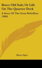 Brave Old Salt; Or Life On The Quarter Deck: A Story Of The Great Rebellion (1866)