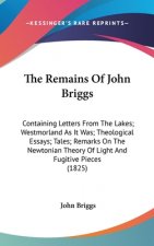 The Remains Of John Briggs: Containing Letters From The Lakes; Westmorland As It Was; Theological Essays; Tales; Remarks On The Newtonian Theory Of Li