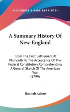 A Summary History Of New-England: From The First Settlement At Plymouth To The Acceptance Of The Federal Constitution, Comprehending A General Sketch