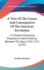 View Of The Causes And Consequences Of The American Revolution