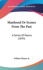 Manhood Or Scenes From The Past: A Series Of Poems (1843)