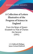 A Collection Of Letters Illustrative Of The Progress Of Science In England: From The Reign Of Queen Elizabeth To That Of Charles The Second (1841)