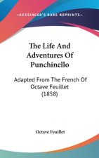 The Life And Adventures Of Punchinello: Adapted From The French Of Octave Feuillet (1858)
