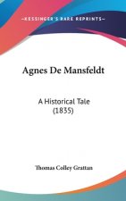 Agnes De Mansfeldt: A Historical Tale (1835)