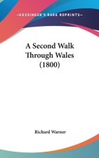 A Second Walk Through Wales (1800)