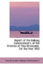 Report of the Railway Commissioners, of the Province of New-Brunswick, for the Year 1858