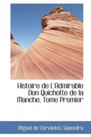 Histoire de L'Admirable Don Quichotte de La Manche, Tome Premier