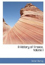 History of France, Volume I