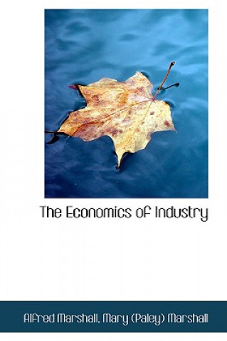 Economics of Industry