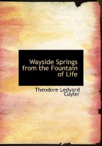 Wayside Springs from the Fountain of Life