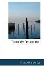 Towards Democracy