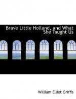 Brave Little Holland, and What She Taught Us