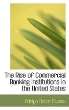 Rise of Commercial Banking Institutions in the United States