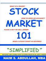 STOCK MARKET 101 SIMPLIFIED