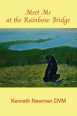 Meet Me at the Rainbow Bridge