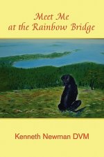 Meet Me at the Rainbow Bridge