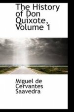 History of Don Quixote, Volume 1
